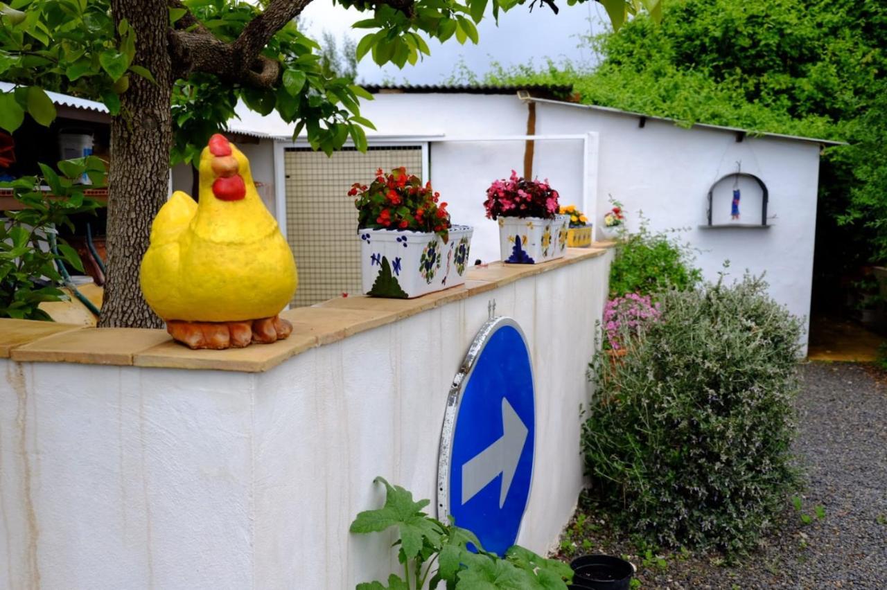 The Shed Villa Cehegín Dış mekan fotoğraf